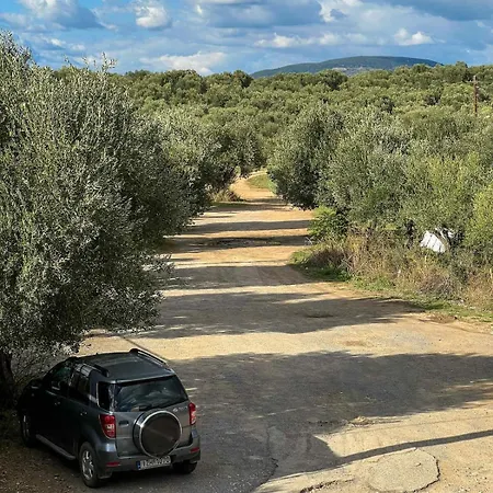 Vintage House Overlooking The Statue Of Leonidas